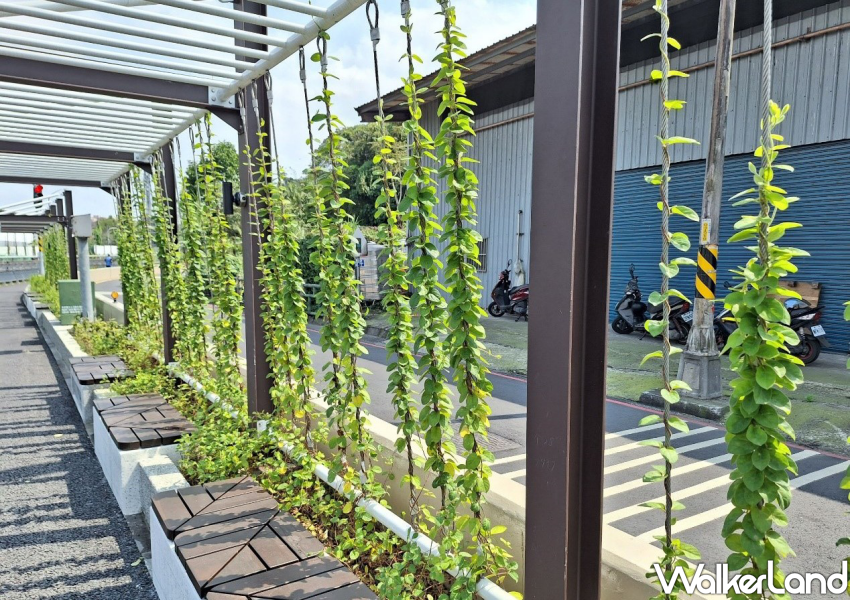 中和藤寮坑溝 / WalkerLand窩客島整理提供 未經許可不可轉載。