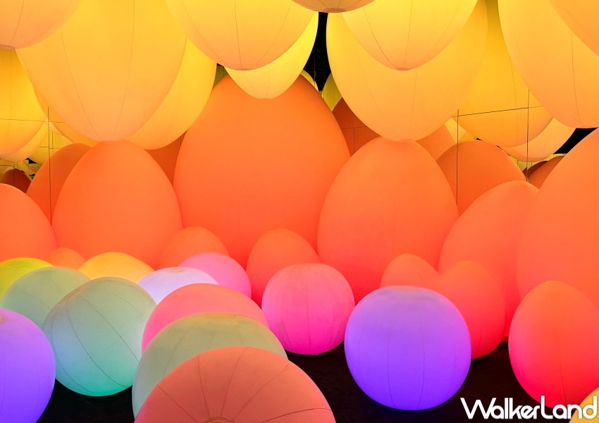 teamLab共創！未來園 台北  / WalkerLand窩客島提供 未經許可，不得轉載