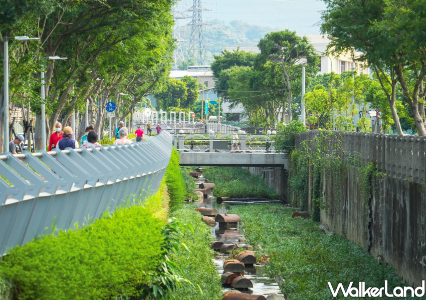 中和藤寮坑溝 / WalkerLand窩客島整理提供 未經許可不可轉載。