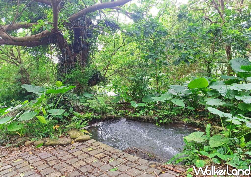 士林溪山百年古圳 / WalkerLand窩客島整理提供 未經許可不可轉載。