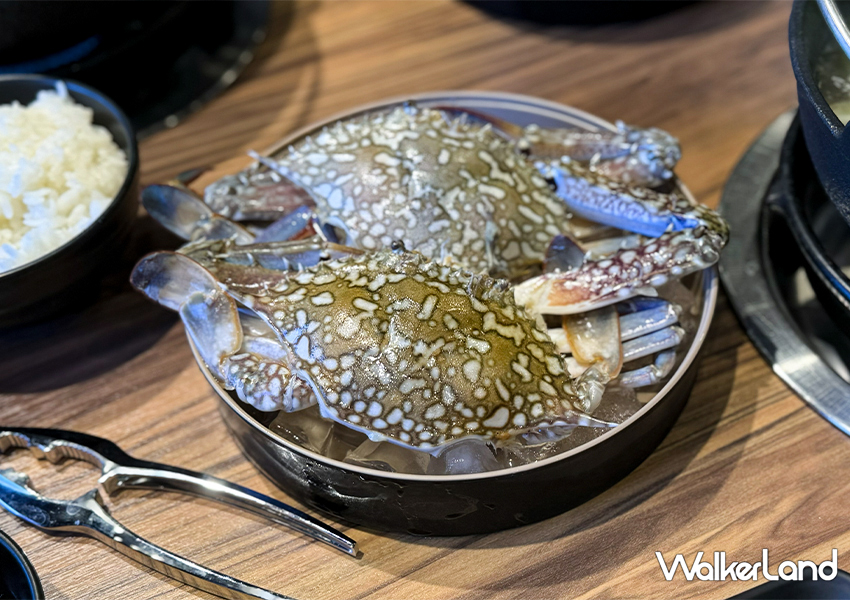 自助吧吃到飽！雙溪河畔火鍋「鯨鍋」來福隆玩水別錯過/ WalkerLand窩客島整理提供 未經許可不可轉載。