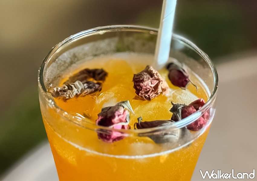 ▲▼台北酒吧「蟲蟲巴斯」推薦菜單「有蜂的蜂蜜百香綠」是真的可以吃到昆蟲 / WalkerLand窩客島整理提供​​​​​​​