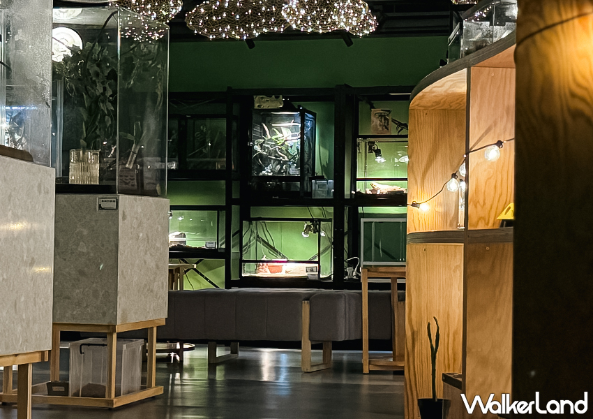 ▲▼台北酒吧「蟲蟲巴斯」平時為親子課程的生態教室，晚上才會搖身一變成為超酷的昆蟲酒吧 / WalkerLand窩客島整理提供​​​​​​​