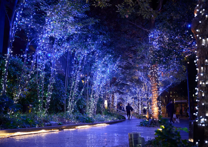 ▲於即日起,「東京晴空塔城 夢幻聖誕2024」將正式展開/ 圖片來源:東京晴空塔城 ▲於即日起,「東京晴空塔城 夢幻聖誕2024」將正式展開/ 圖片來源:東京晴空塔城