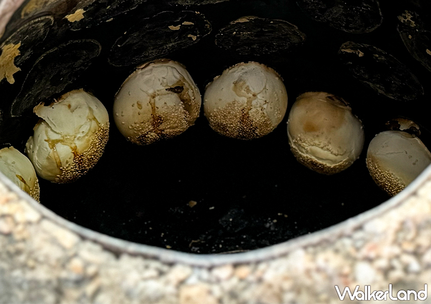 ▲▼南門市場必吃「臻味胡椒餅」赤肉比例較高，還會爆出滿滿的肉汁 / WalkerLand窩客島整理提供