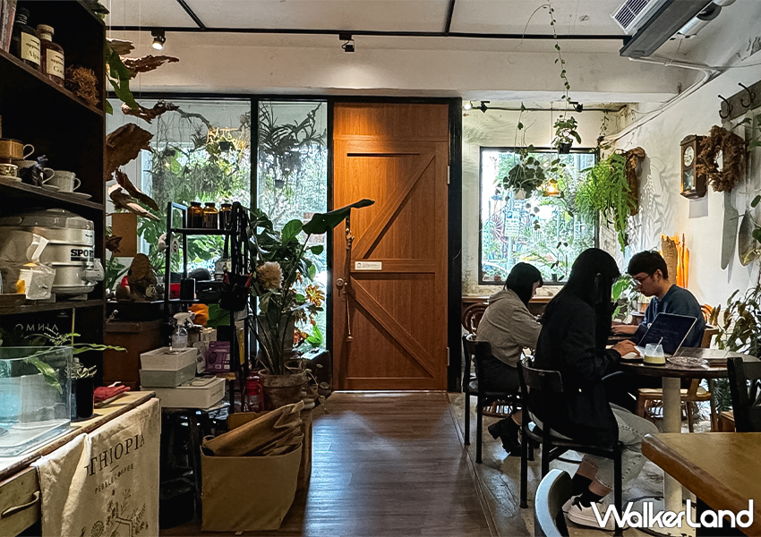 ▲南港不限時咖啡廳「陋巷咖啡廳」以水泥牆與木質調家具為主,營造出溫暖且充滿生活感的氛圍 / WalkerLand窩客島 蕭芷琳 拍攝 ▲南港不限時咖啡廳「陋巷咖啡廳」以水泥牆與木質調家具為主,營造出溫暖且充滿生活感的氛圍 / WalkerLand窩客島 蕭芷琳 拍攝