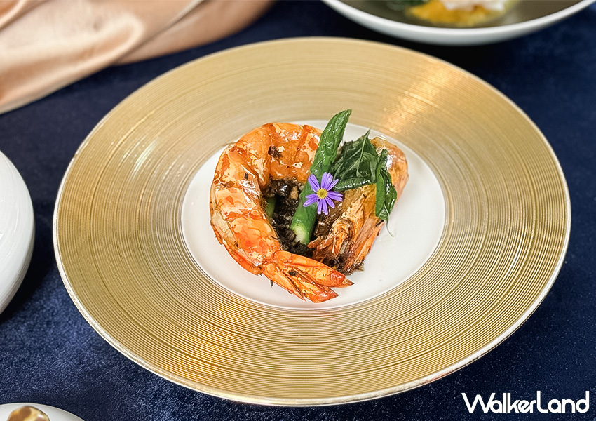 ▲台北高級餐廳「海協會」推薦菜單：豆豉金桔梅乾菜焗根島蝦 / WalkerLand窩客島 蕭芷琳 拍攝​​​​​​​