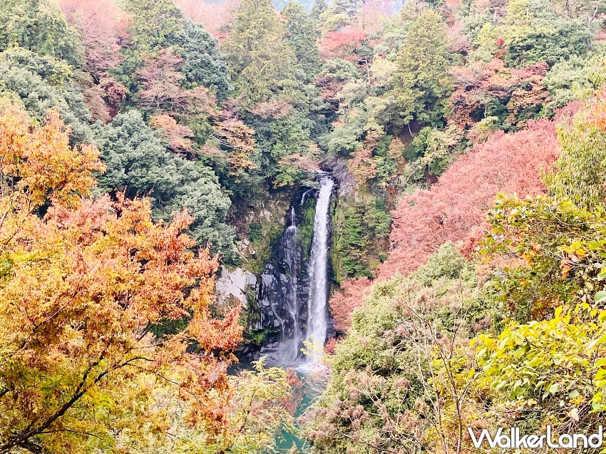 大阪世博行程提案！城崎溫泉 出石蕎麥麵 神鍋高原健行全攻略。