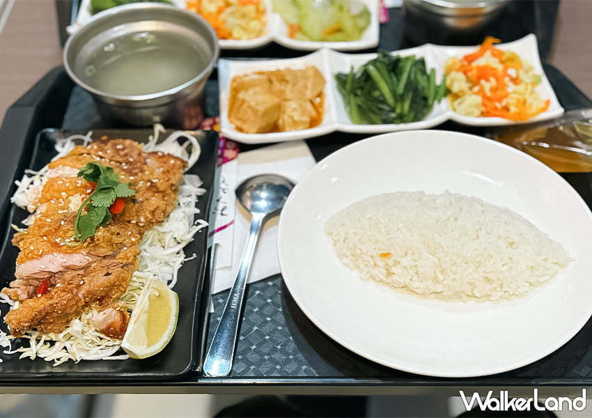 ▲基隆平價泰式料理「安一海南雞飯」推薦菜單：椒麻雞飯 $120 / WalkerLand窩客島 蕭芷琳 拍攝