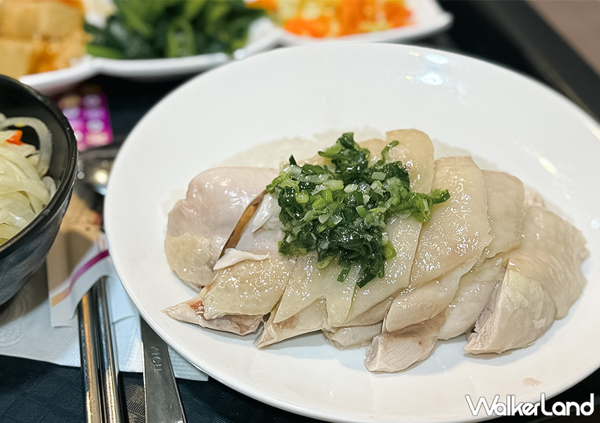 ▲基隆平價泰式料理「安一海南雞飯」推薦菜單：海南雞飯 $110/ WalkerLand窩客島 蕭芷琳 拍攝