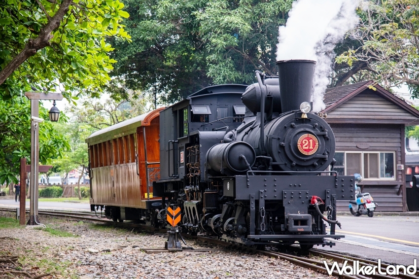 阿里山賓館鐵道賞螢活動！搭乘蒸汽火車探索神秘夜光之旅 親子同遊推薦。