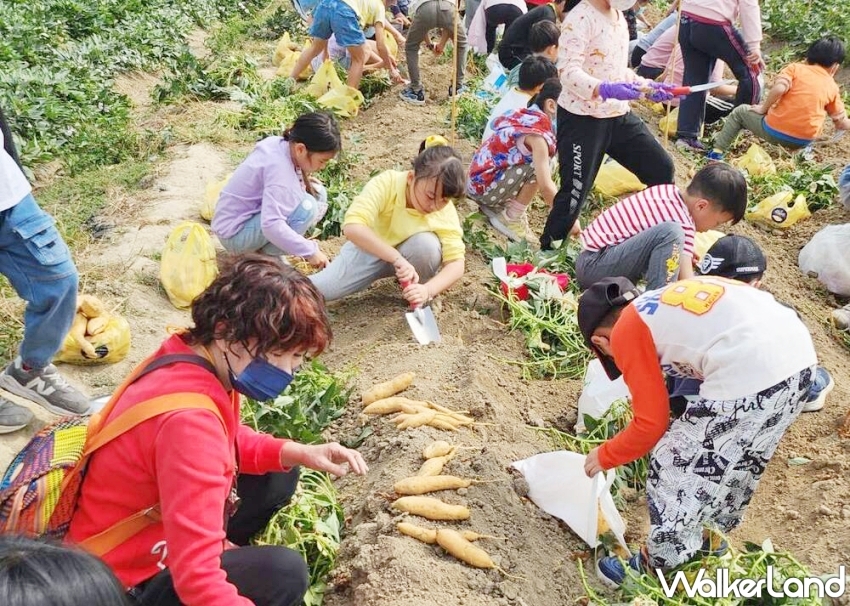 ▲和逸飯店更與台南在地農場品牌「瓜瓜園」合作，從4月19日至5月11日週末期間推出限定的「挖地瓜體驗」 / 和逸飯店‧台南西門館提供、WalkerLand窩客島整理