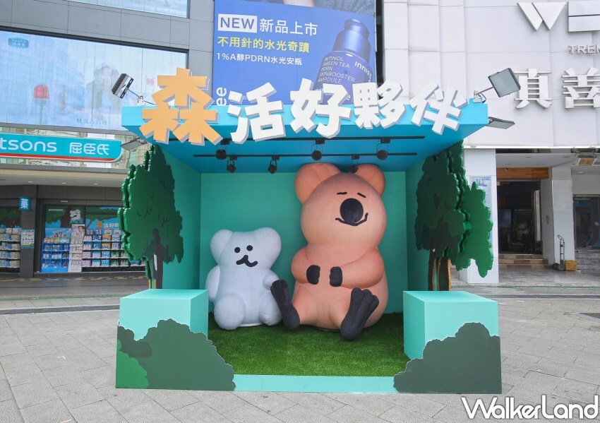 ▲西門町免費拍矮袋鼠！放大版DINOTAENG攻佔西門町，打卡就送周邊 / 屈臣氏 提供、WalkerLand窩客島整理