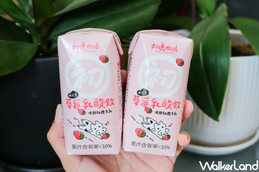 ▲初鹿草莓乳酸飲!初鹿牧場限定草莓乳酸飲,保久乳常溫保存 / WalkerLand窩客島 張人尹 拍攝 ▲初鹿草莓乳酸飲!初鹿牧場限定草莓乳酸飲,保久乳常溫保存 / WalkerLand窩客島 張人尹 拍攝
