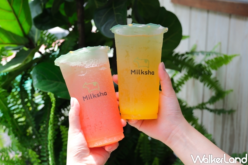 ▲迷客夏不只芒果新品，再加碼LINE好友限定優惠抽356天免費喝迷客夏 / WalkerLand窩客島 張人尹 拍攝