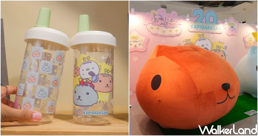 ▲水豚君20週年期間限定快閃店，周邊小物與限定甜點都要買 / WalkerLand窩客島 張人尹 拍攝