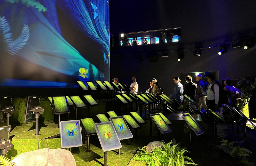 2025大阪世界博覽會台灣館必訪，打造未來世界的美好關鍵來自山林之心