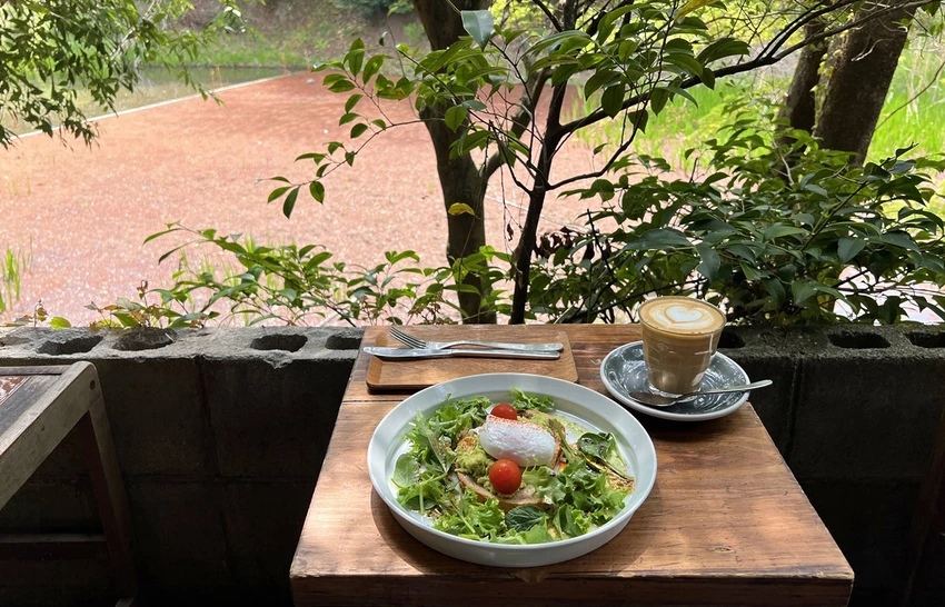 避開伏見稻荷大社的人潮，稻荷山晨間健行，享受森林與池塘之間的早午餐時光