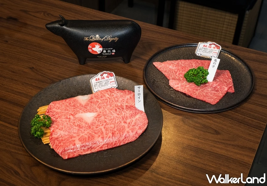 俺達の肉屋9週年首推松阪牛!加價1千元升級松阪牛五品組合,燒肉控吃起來。