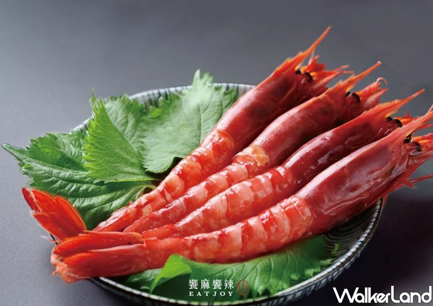 ▲饗麻饗辣PLUS南港lalaport店每週一限定供應「胭脂蝦」吃到飽/ 饗麻饗辣PLUS 提供、WalkerLand窩客島整理