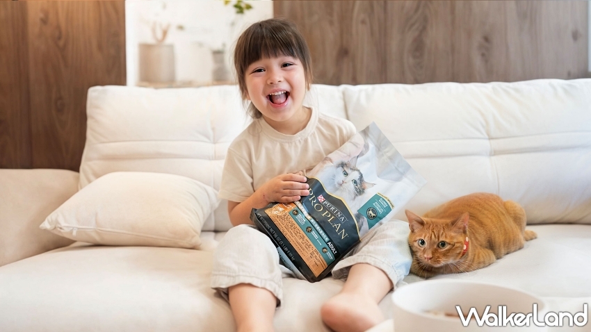 擁貓自由不再奢望!IgY黑科技貓糧助攻過敏者與貓共好生活。