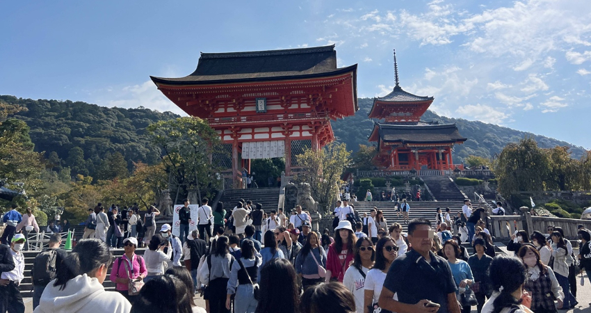 京都清水寺參拜過後遇見周邊古樸町家，滿滿的季節旬味與自然景色。
