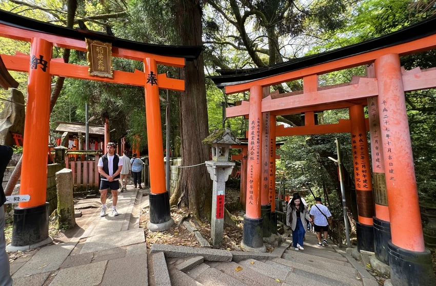 避開伏見稻荷大社的人潮，稻荷山晨間健行，享受森林與池塘之間的早午餐時光