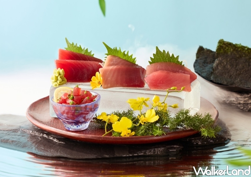 鮪魚季開吃！藝奇日本料理鮮魚盛宴5新品開吃，199元升級極鮮鮪魚大盛。