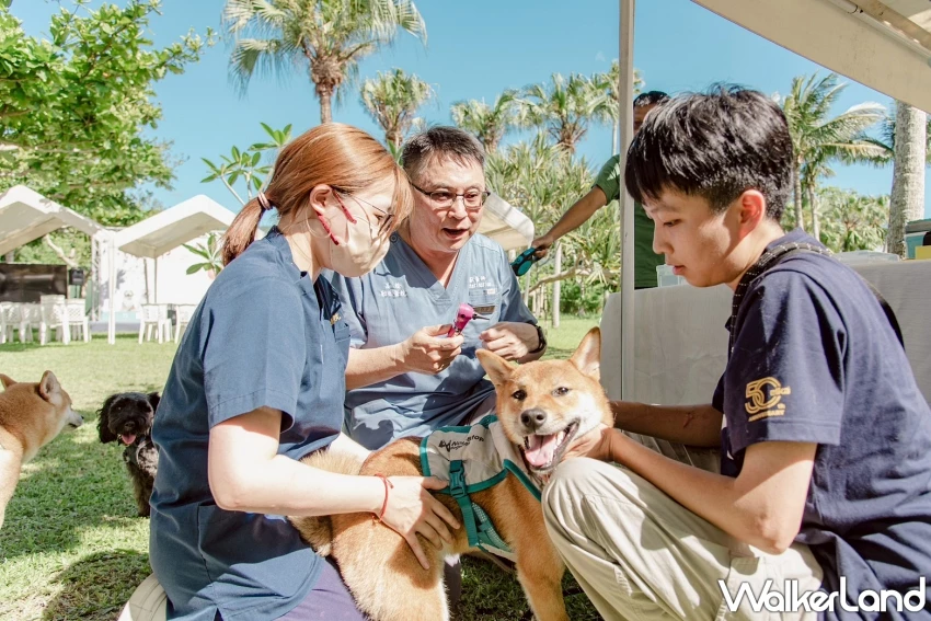 花蓮住宿買一送一!理想大地推出寵物友善俱樂部,再加碼聯手星級飯店買1送1。 花蓮住宿買一送一!理想大地推出寵物友善俱樂部,再加碼聯手星級飯店買1送1。