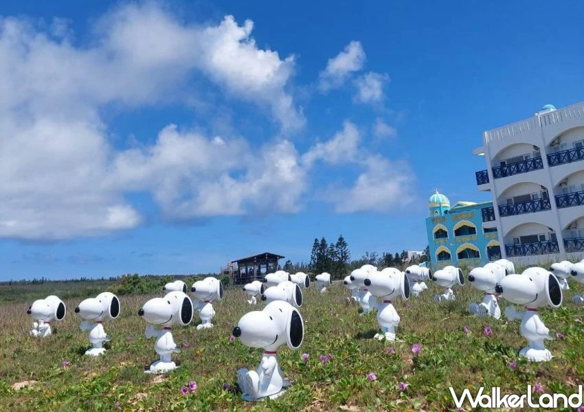 ▲30隻史努比快閃只有兩天 / 澎湖國際海上花火節 提供、WalkerLand窩客島整理