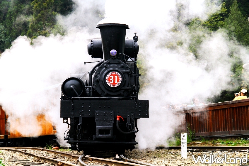 阿里山百年蒸汽火車開跑！日出雲海、暑假森林小火車，限定行程開放預訂。阿里山賓館