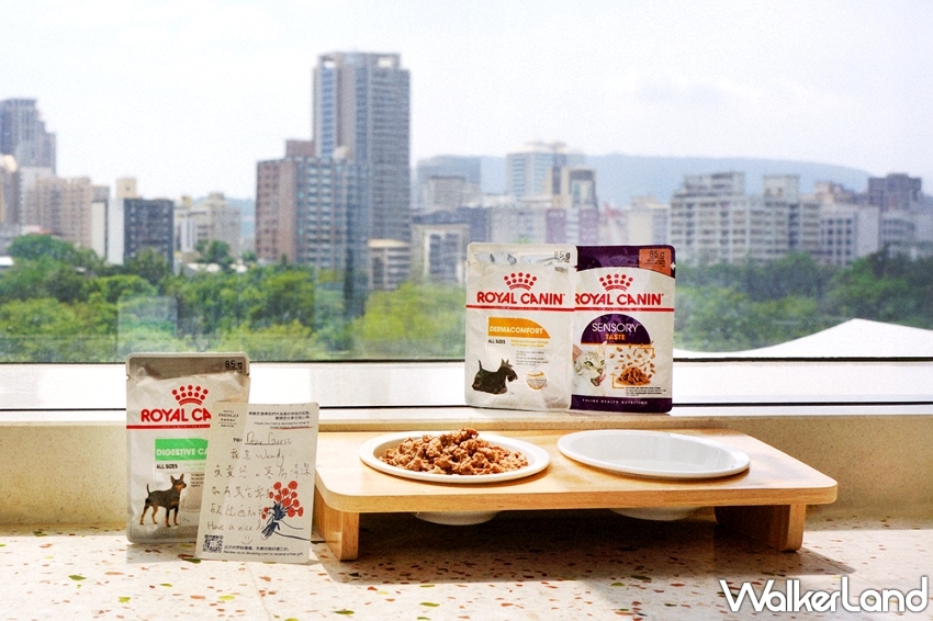 毛孩爽住高雄英迪格!入住送法國皇家濕糧,再加碼品牌大使徵選中。