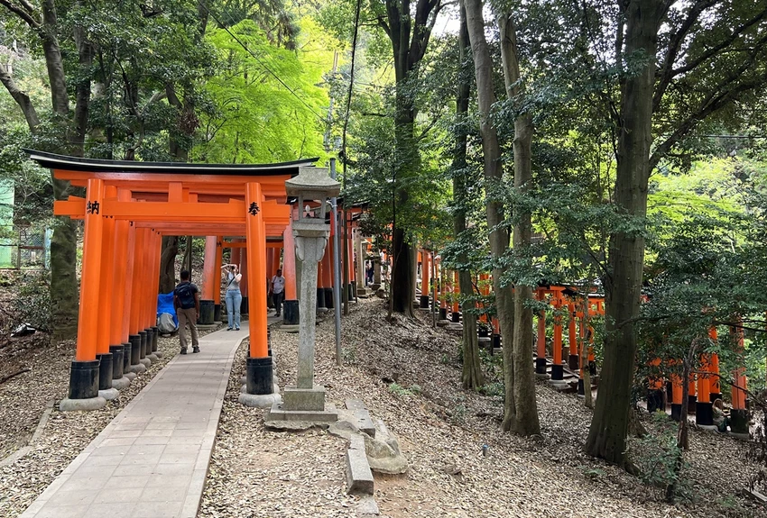 避開伏見稻荷大社的人潮，稻荷山晨間健行，享受森林與池塘之間的早午餐時光