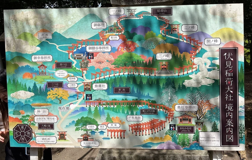 避開伏見稻荷大社的人潮，稻荷山晨間健行，享受森林與池塘之間的早午餐時光