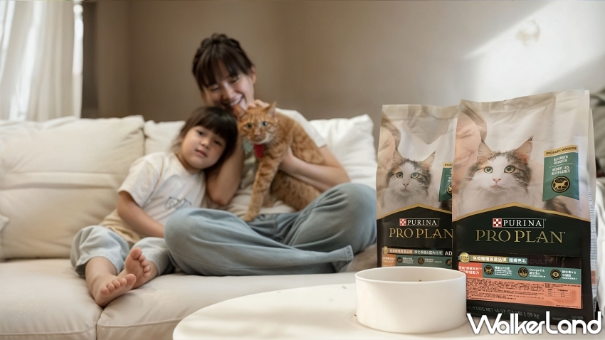 擁貓自由不再奢望!IgY黑科技貓糧助攻過敏者與貓共好生活。