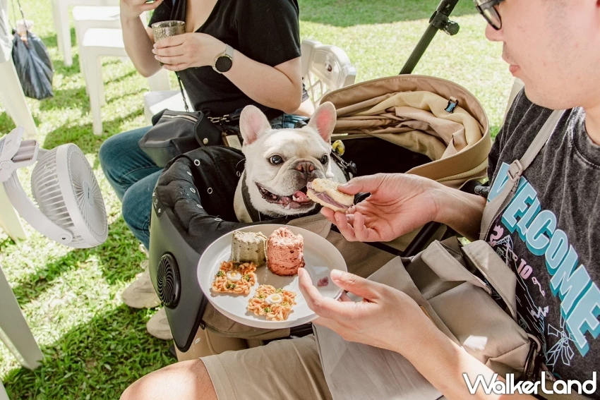 花蓮住宿買一送一!理想大地推出寵物友善俱樂部,再加碼聯手星級飯店買1送1。 花蓮住宿買一送一!理想大地推出寵物友善俱樂部,再加碼聯手星級飯店買1送1。