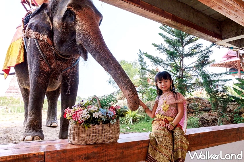 3萬元玩遍日韓東南亞！雄獅夏旅爆省祭最後開搶，北海道避暑5日只要29999元。