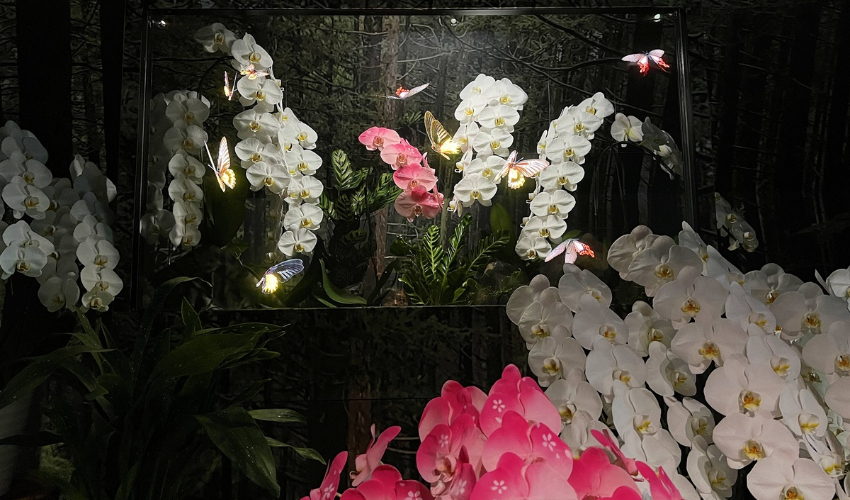 2025大阪世界博覽會台灣館必訪，打造未來世界的美好關鍵來自山林之心