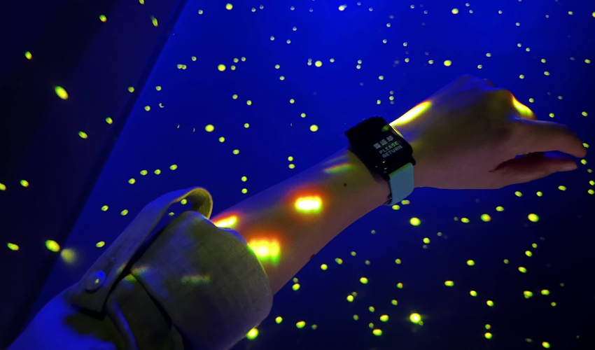 2025大阪世界博覽會台灣館必訪，打造未來世界的美好關鍵來自山林之心