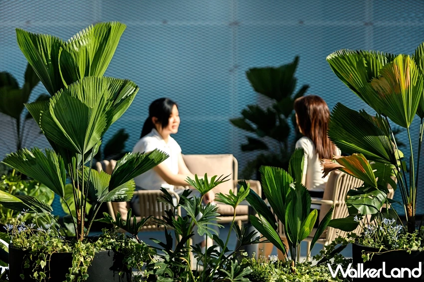 台北大巨蛋「板石咖啡廳」開幕優惠!雙人送炸雞、午間套餐499開吃。 台北大巨蛋「板石咖啡廳」開幕優惠!雙人送炸雞、午間套餐499開吃。