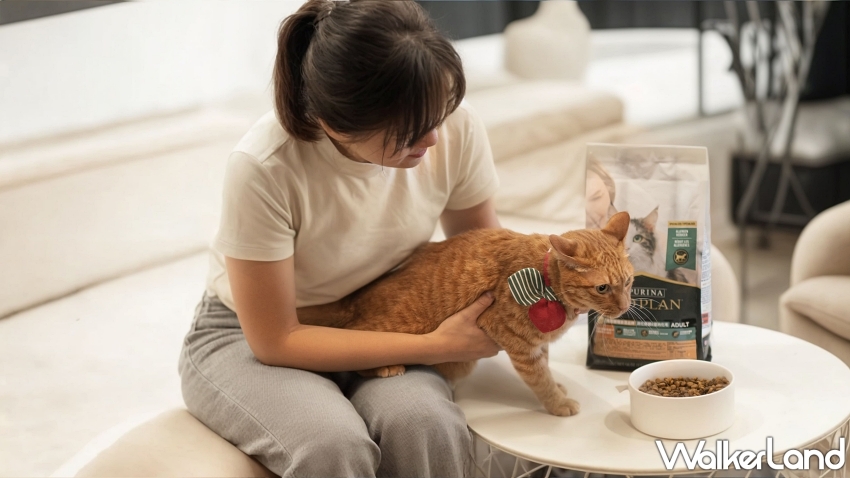 擁貓自由不再奢望!IgY黑科技貓糧助攻過敏者與貓共好生活。