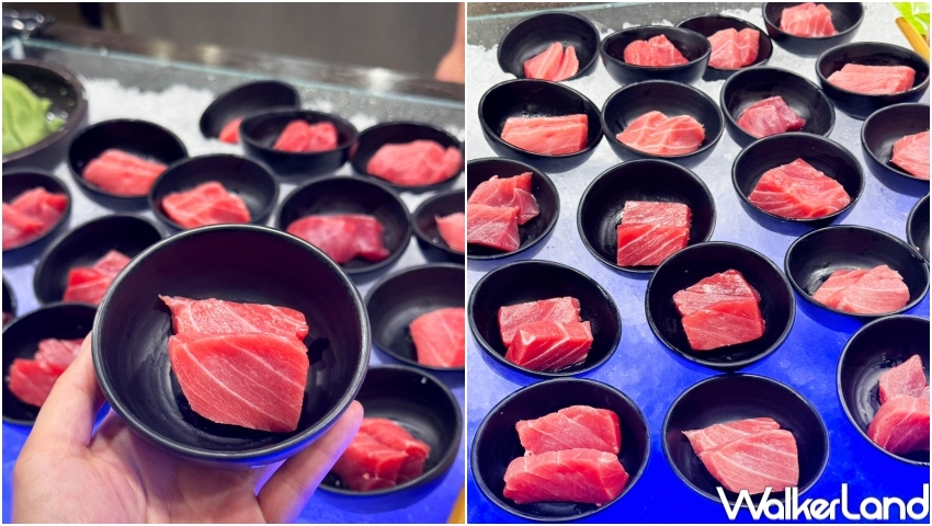 ▲千葉火鍋6月吃到飽優惠，竹北店限定推出現切鮪魚 / 千葉火鍋提供、WalkerLand窩客島整理​​​​​​​
