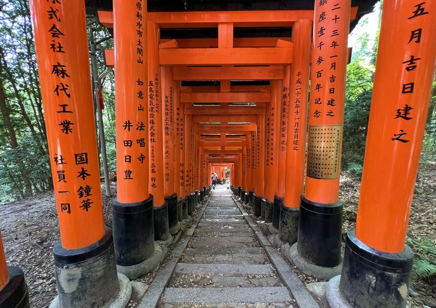 避開伏見稻荷大社的人潮，稻荷山晨間健行，享受森林與池塘之間的早午餐時光