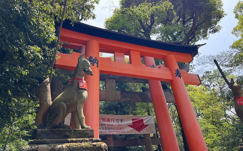 避開伏見稻荷大社的人潮，稻荷山晨間健行，享受森林與池塘之間的早午餐時光