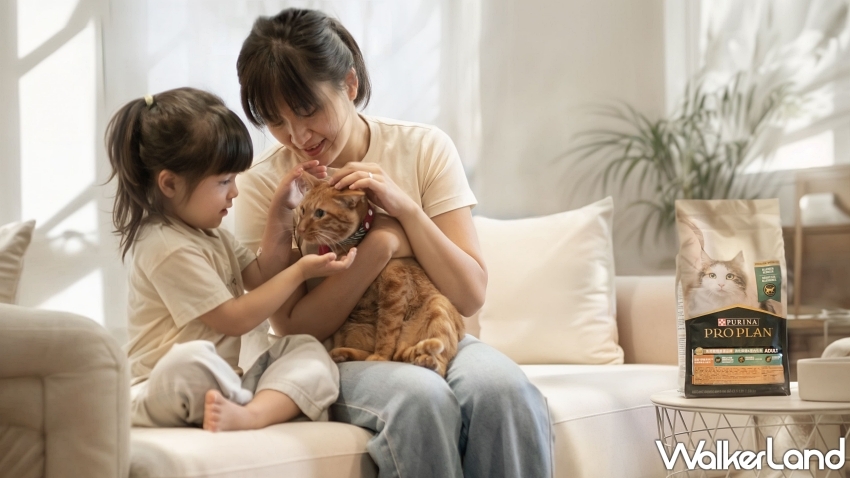 擁貓自由不再奢望!IgY黑科技貓糧助攻過敏者與貓共好生活。