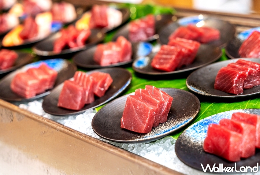 東港黑鮪魚直送大倉久和!黑鮪魚全魚料理、吃貨老饕搶先吃一波。