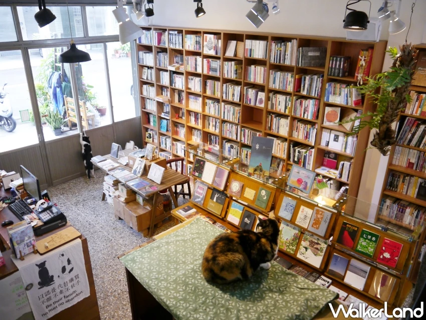 台中獨立書店推薦！梓書房 藏在台中美術館的獨立書店，有6隻店貓陪你閱讀。