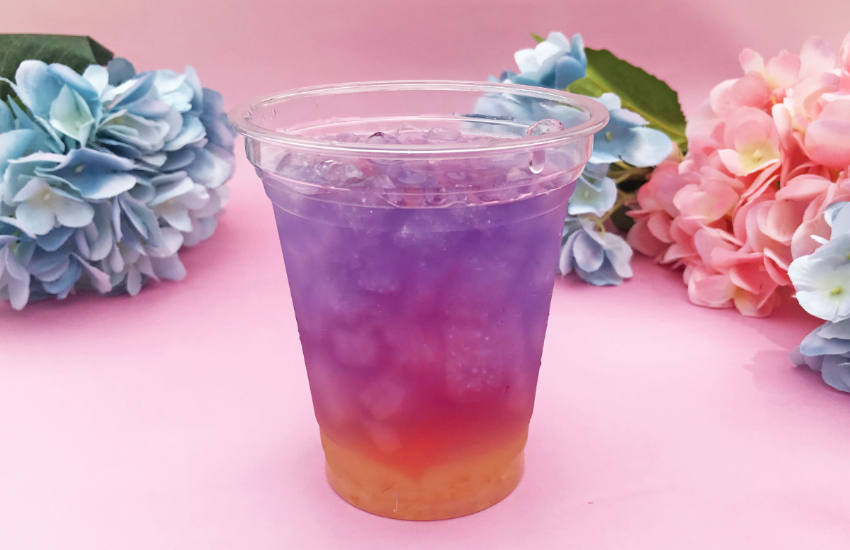 橫濱八景島海島樂園浪漫繡球花祭登場， 2萬花海齊開，神奈川縣內規模最大。