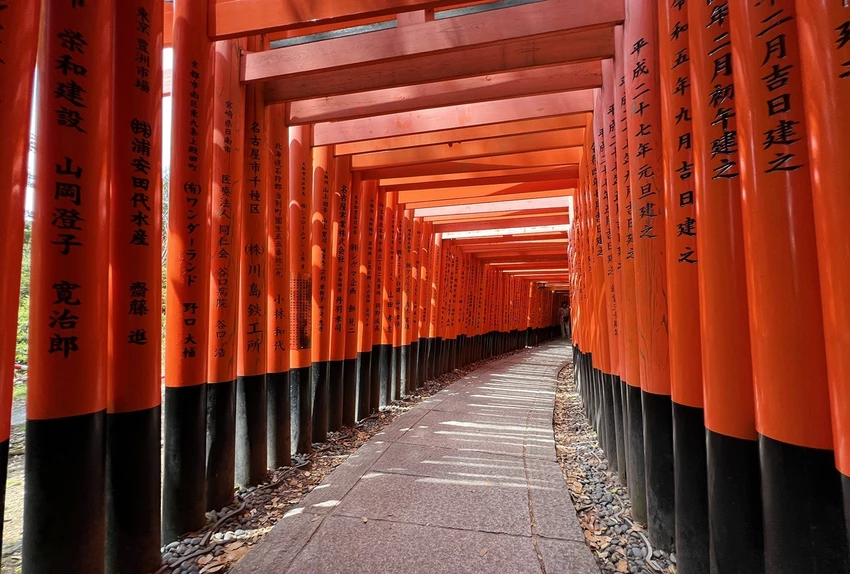 避開伏見稻荷大社的人潮，稻荷山晨間健行，享受森林與池塘之間的早午餐時光