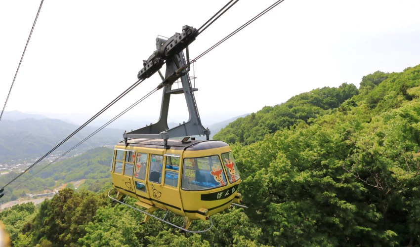東京近郊新秘境7/7開幕,埼玉縣全新露台絕美登場,又一個天空系山林度假區 東京近郊新秘境7/7開幕,埼玉縣全新露台絕美登場,又一個天空系山林度假區